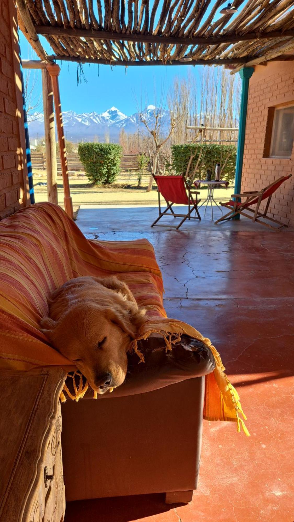 Aire De Barreal Hostel Andino Exteriér fotografie