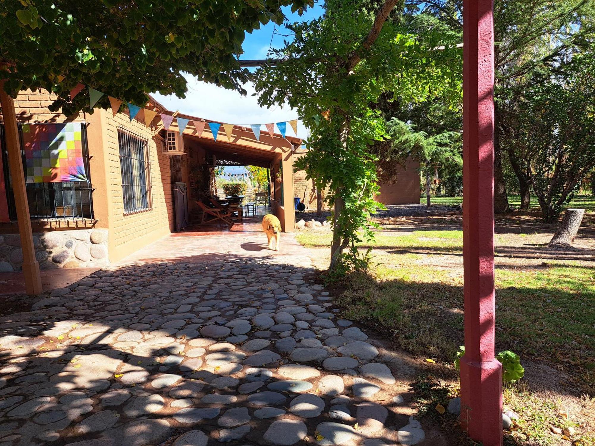 Aire De Barreal Hostel Andino Exteriér fotografie